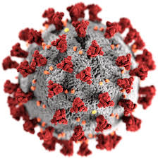 Covid, gli esperti: sparita l’influenza, crollo del 98% dei casi nel mondo