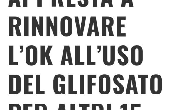 Per l’Agenzia europea delle sostanze chimiche (ECHA), il glifosato non è cancerogeno