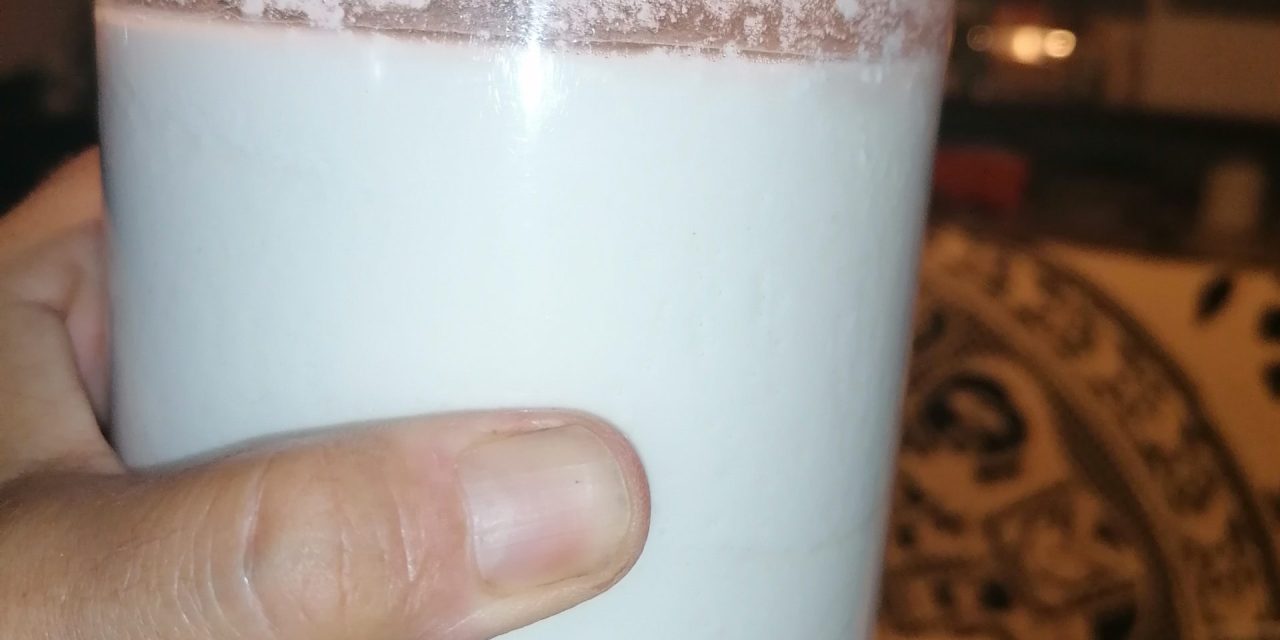Yogurt bianco con yogurtiera