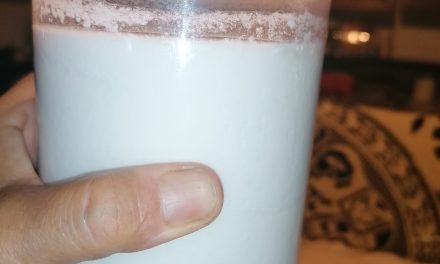 Yogurt bianco con yogurtiera